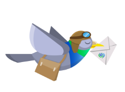 newsletter newsletter